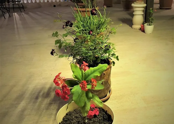 Reutlingen Hof Hotel 3*