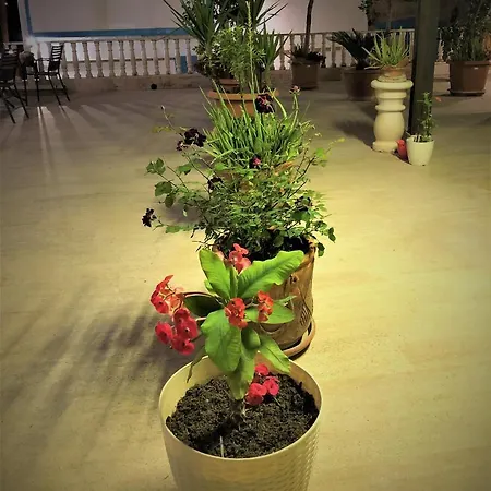 Reutlingen Hof מלון 3*